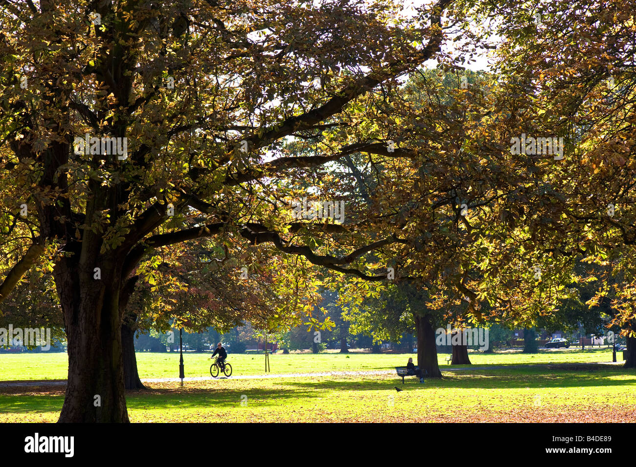 Early autumn in Ealing Common W5 London United Kingdom Stock Photo