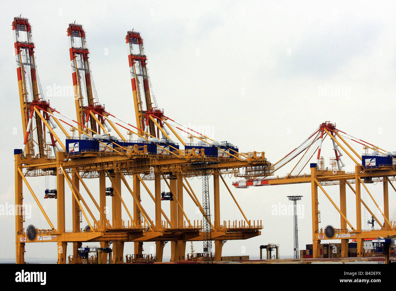 Giant cranes Stock Photo