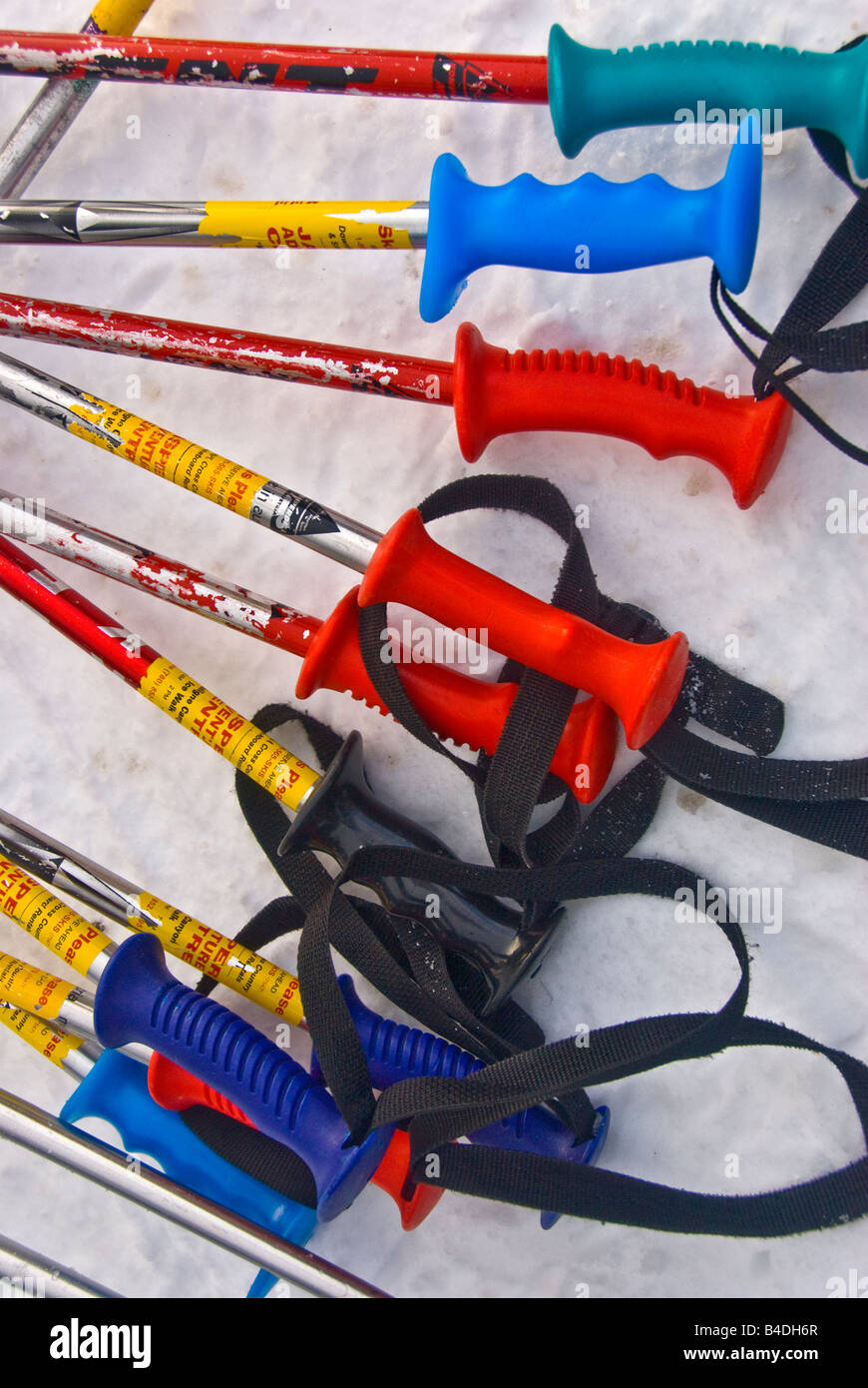 Winter sports display line of snowshoe poles arranged on white snow