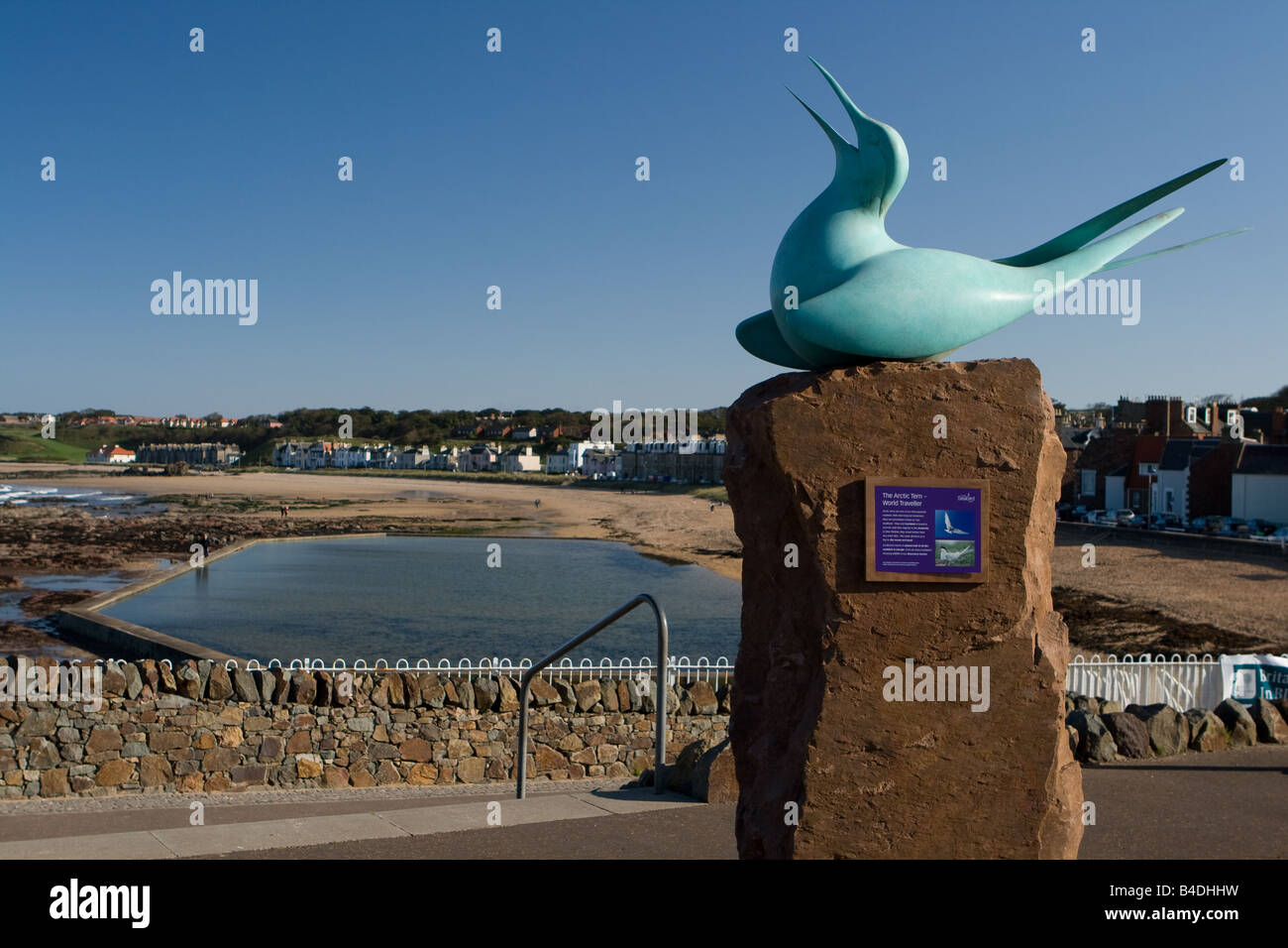 Statue of Tern Seabird Stock Photo