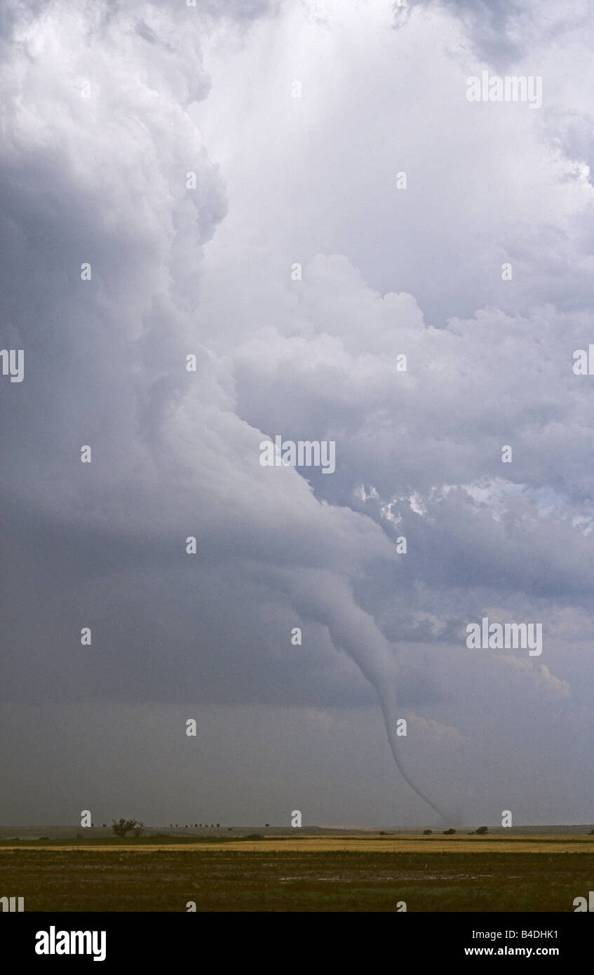 Tornado over farmland near Lenora, Kansas Stock Photo Alamy