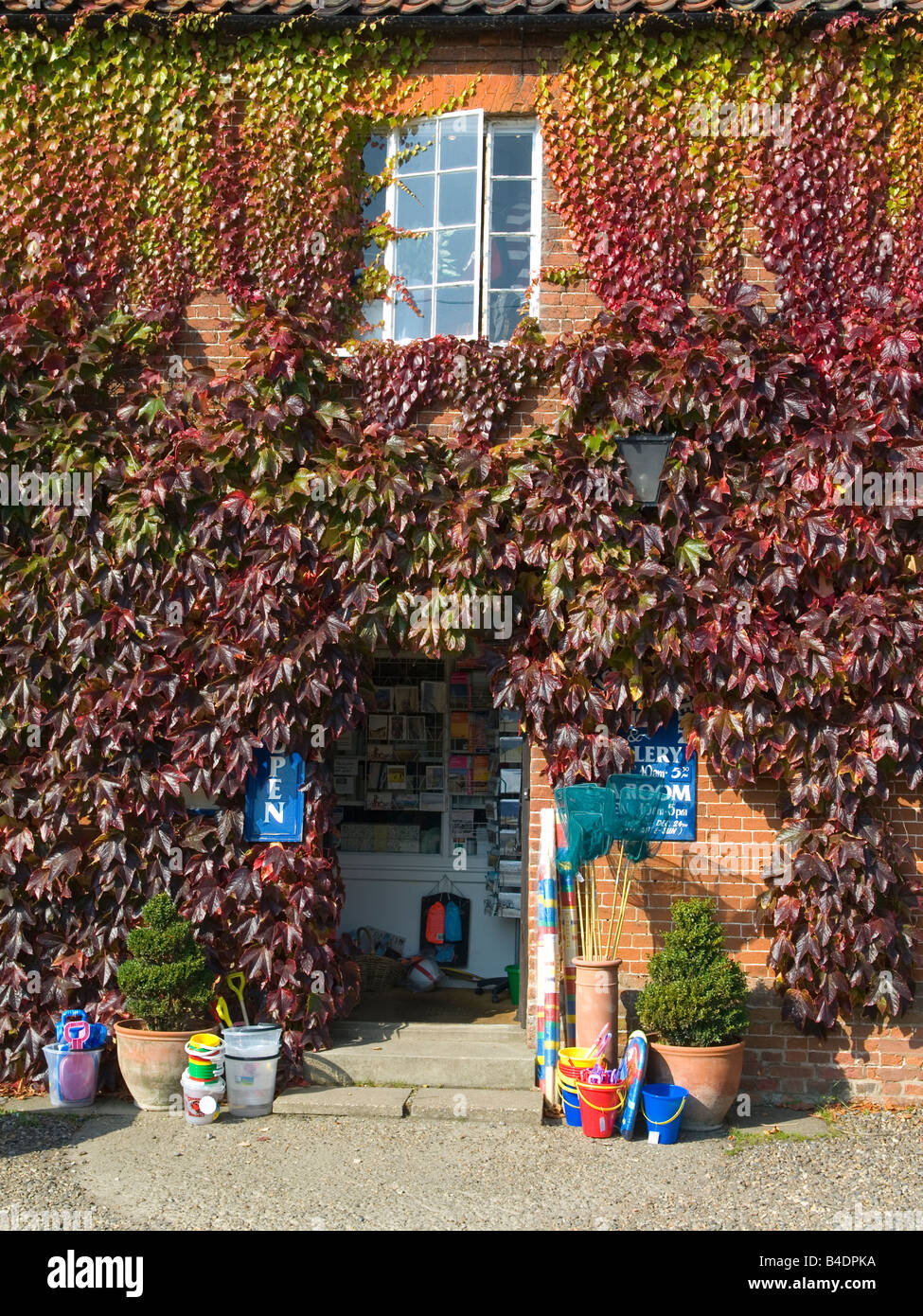 A café that sells seaside buckets and spades covered in Virginia creeper in Walberswick Suffolk UK Stock Photo