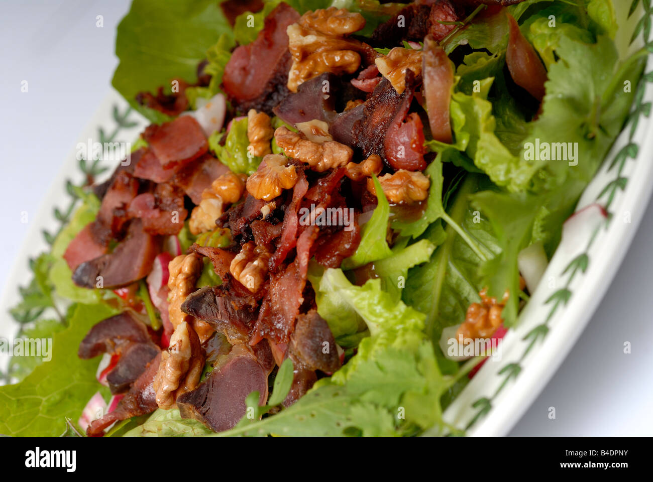 Stock photo of a lettuce bacon walnut and gizzard salad Stock Photo