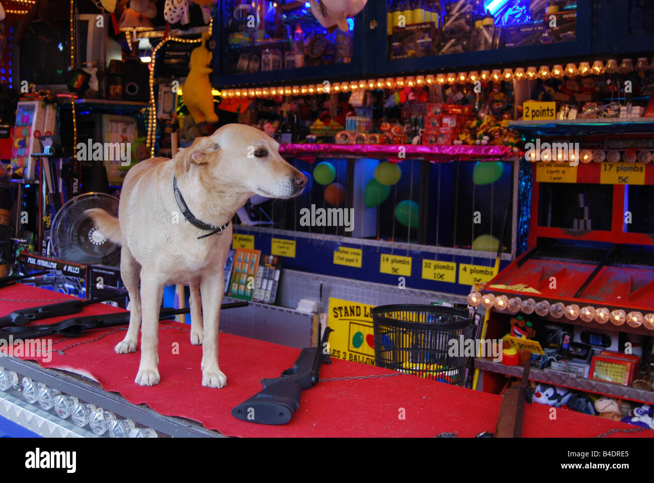 shooting parlour with dog at Lille funfair France Stock Photo