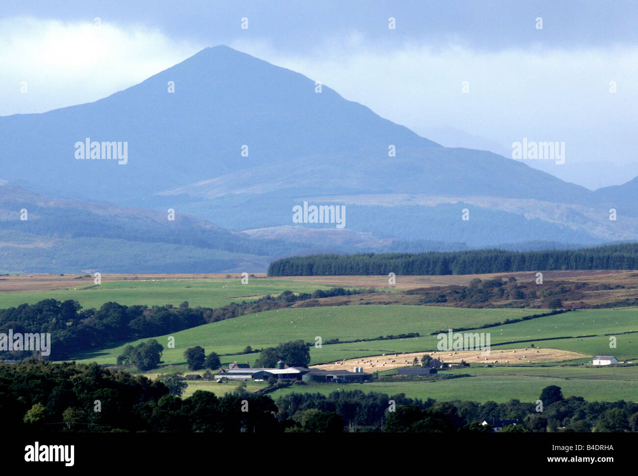 Ben moss hi-res stock photography and images - Alamy