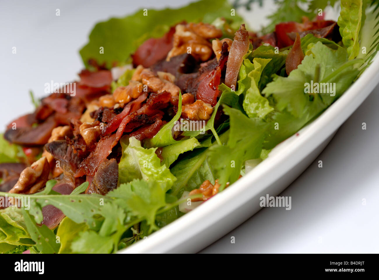 Stock photo of a lettuce bacon walnut and gizzard salad Stock Photo