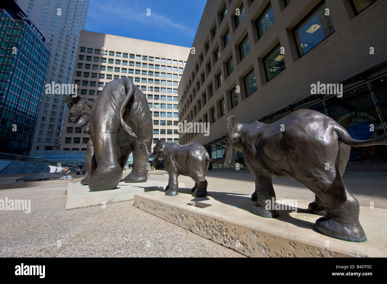 Bronze sculptures named Tembo, Mother of Elephants, in Commerce Court in Financial District of Toronto, Ontario, Canada. Stock Photo
