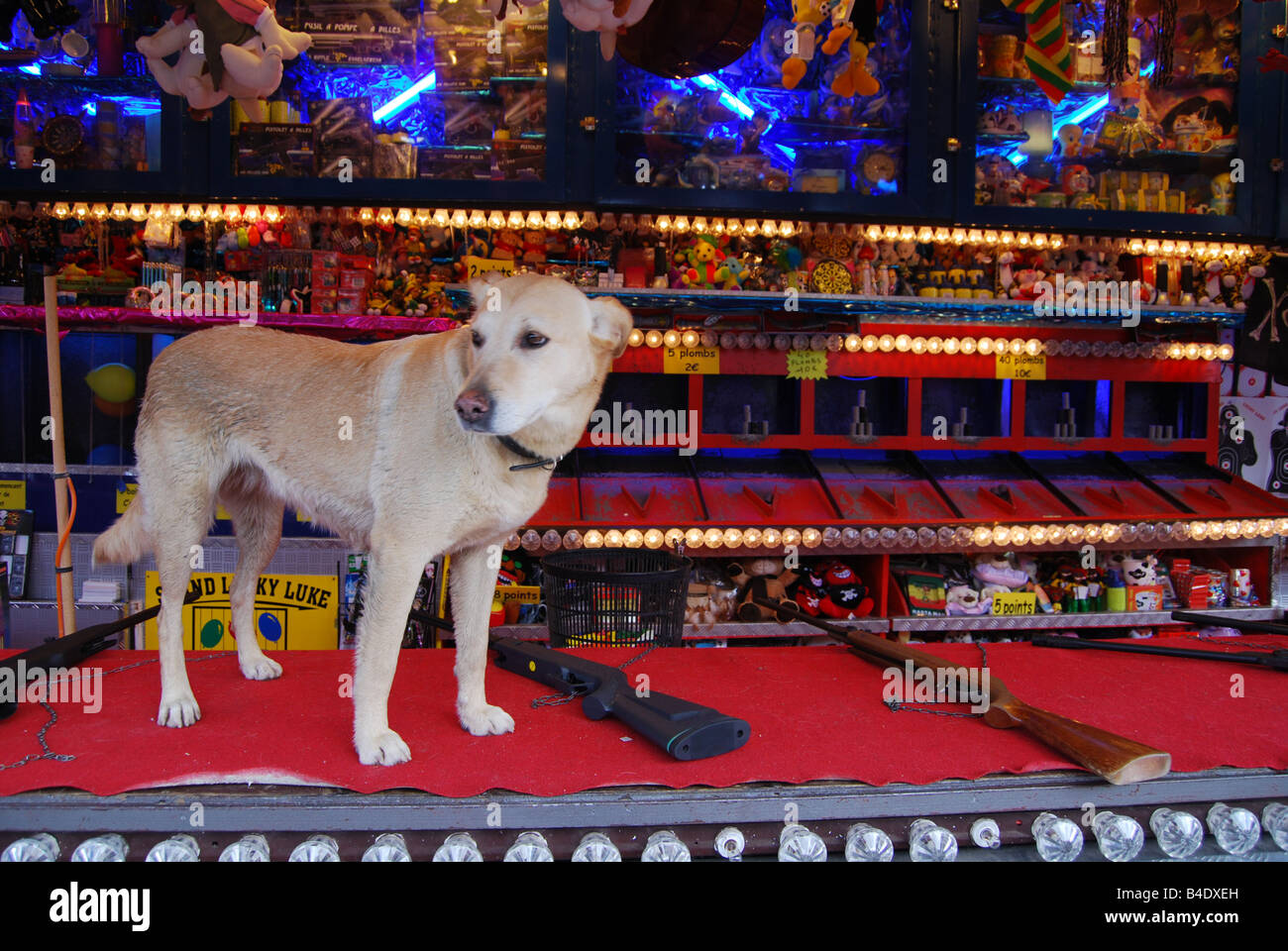 shooting parlour with dog at Lille funfair France Stock Photo