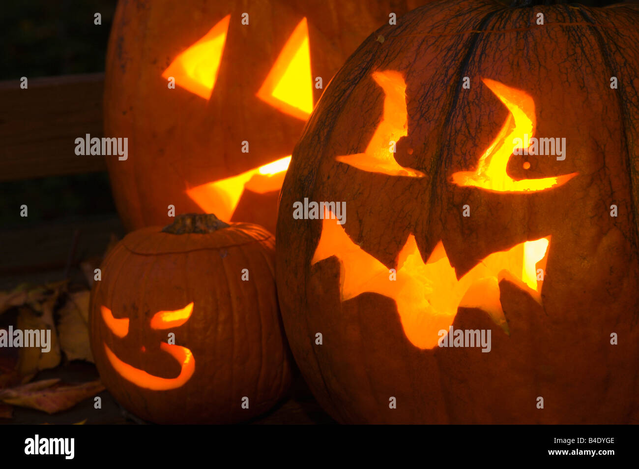Carved pumpkins for Halloween Stock Photo - Alamy