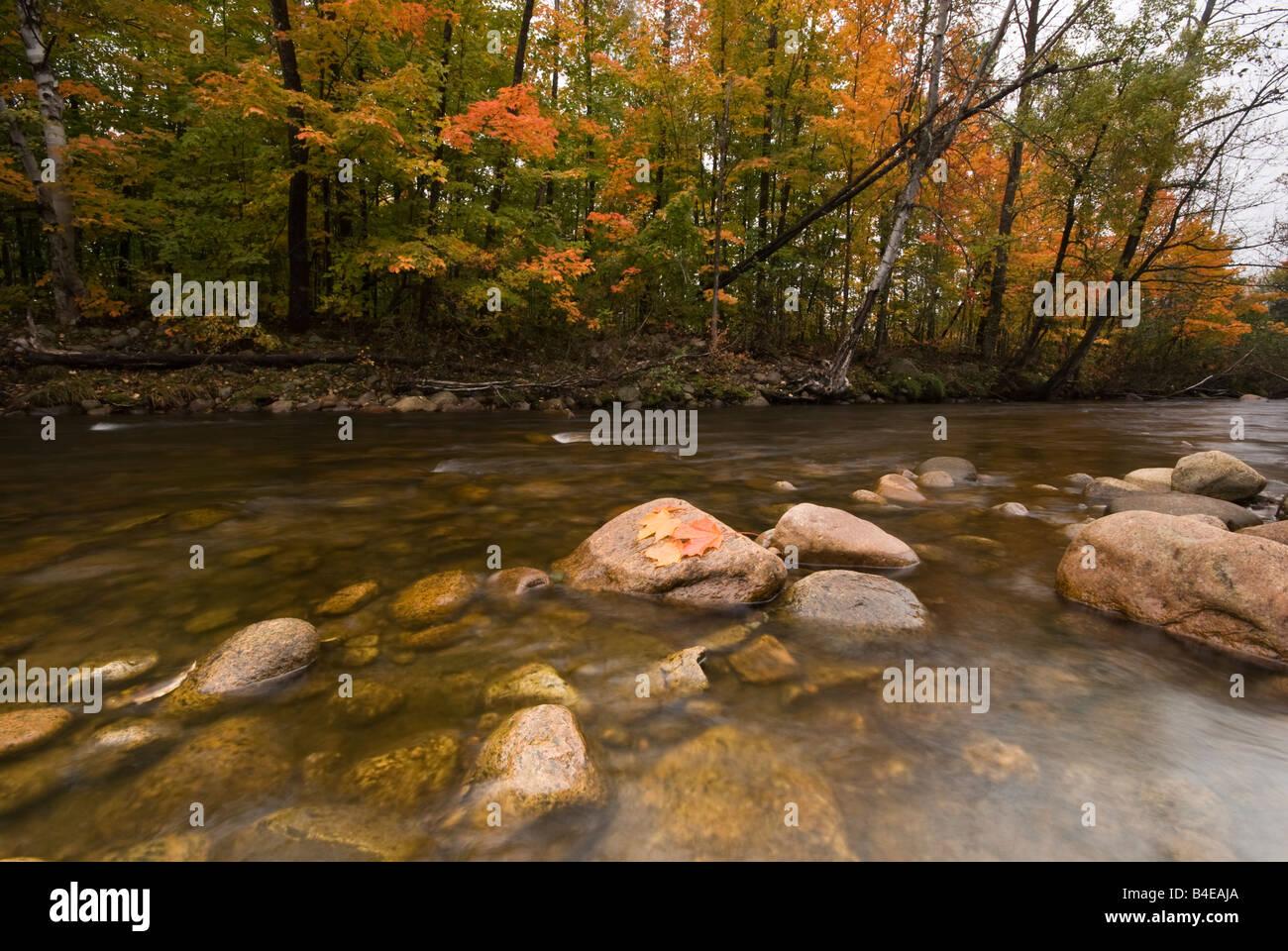 Taken at Baie StPaul, Charlevoix Stock Photo Alamy