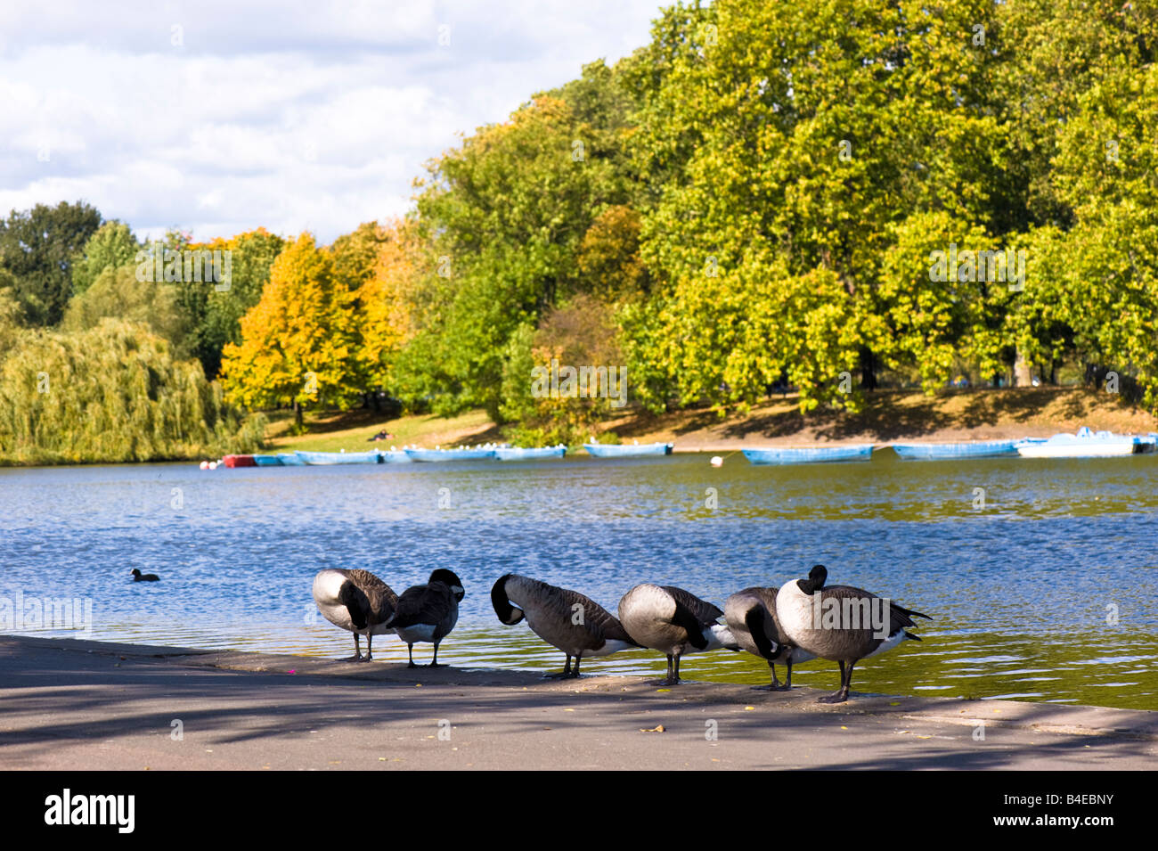 Boating lake in Regents Park London United Kingdom Stock Photo