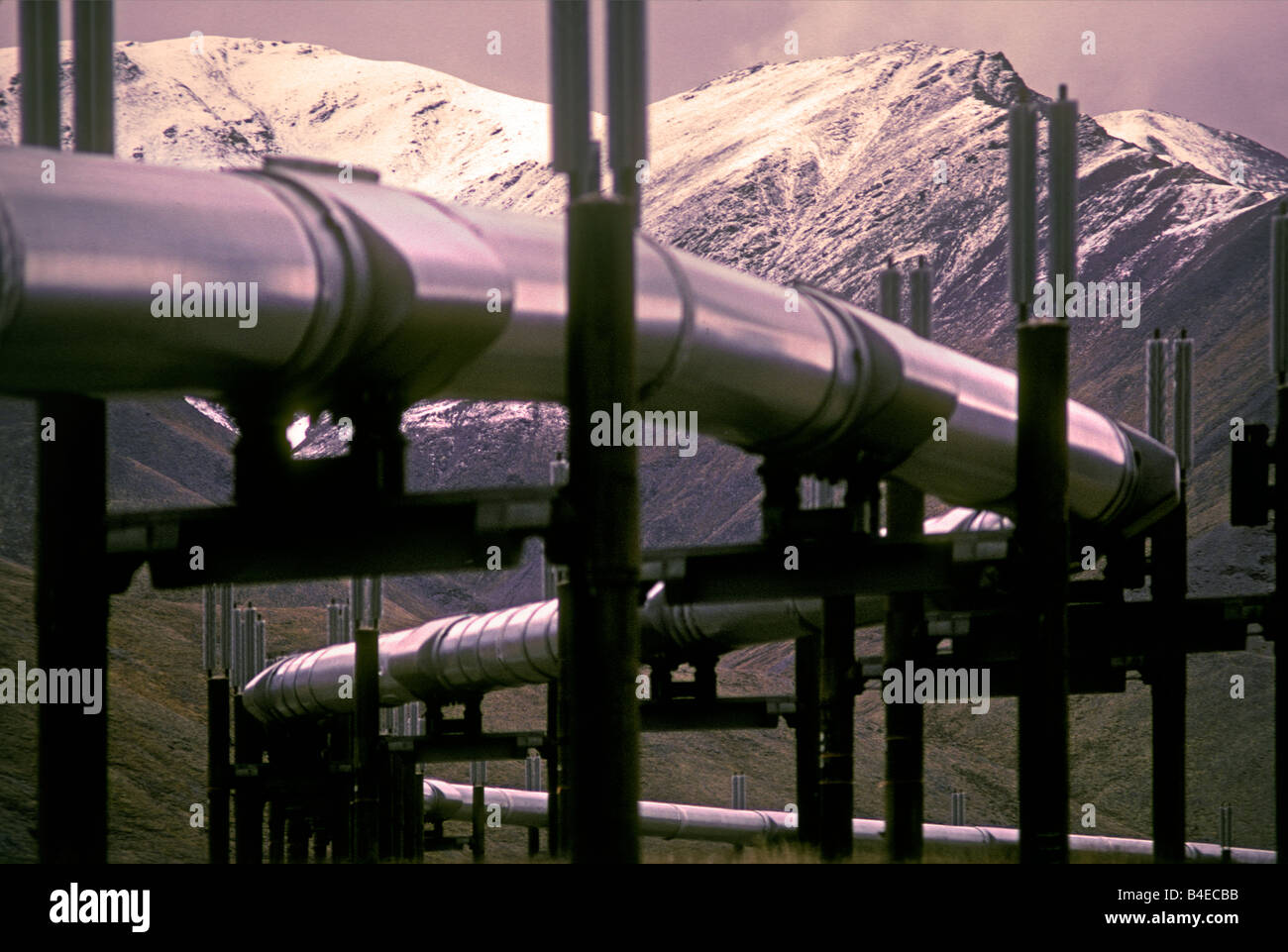 Trans Alaska pipeline system, Alaska Stock Photo
