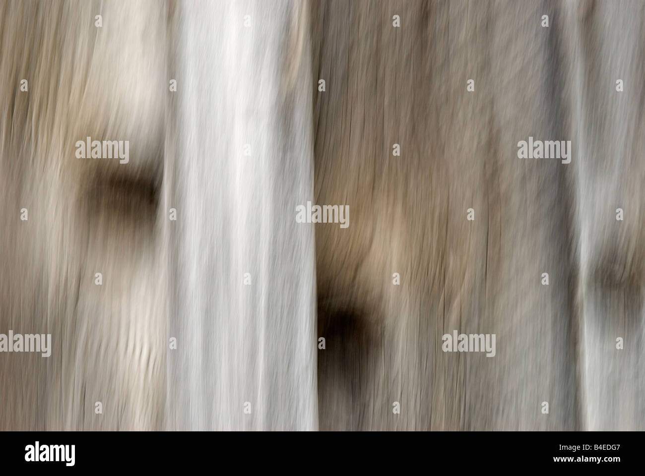 Blurry image abstract background hi-res stock photography and images ...