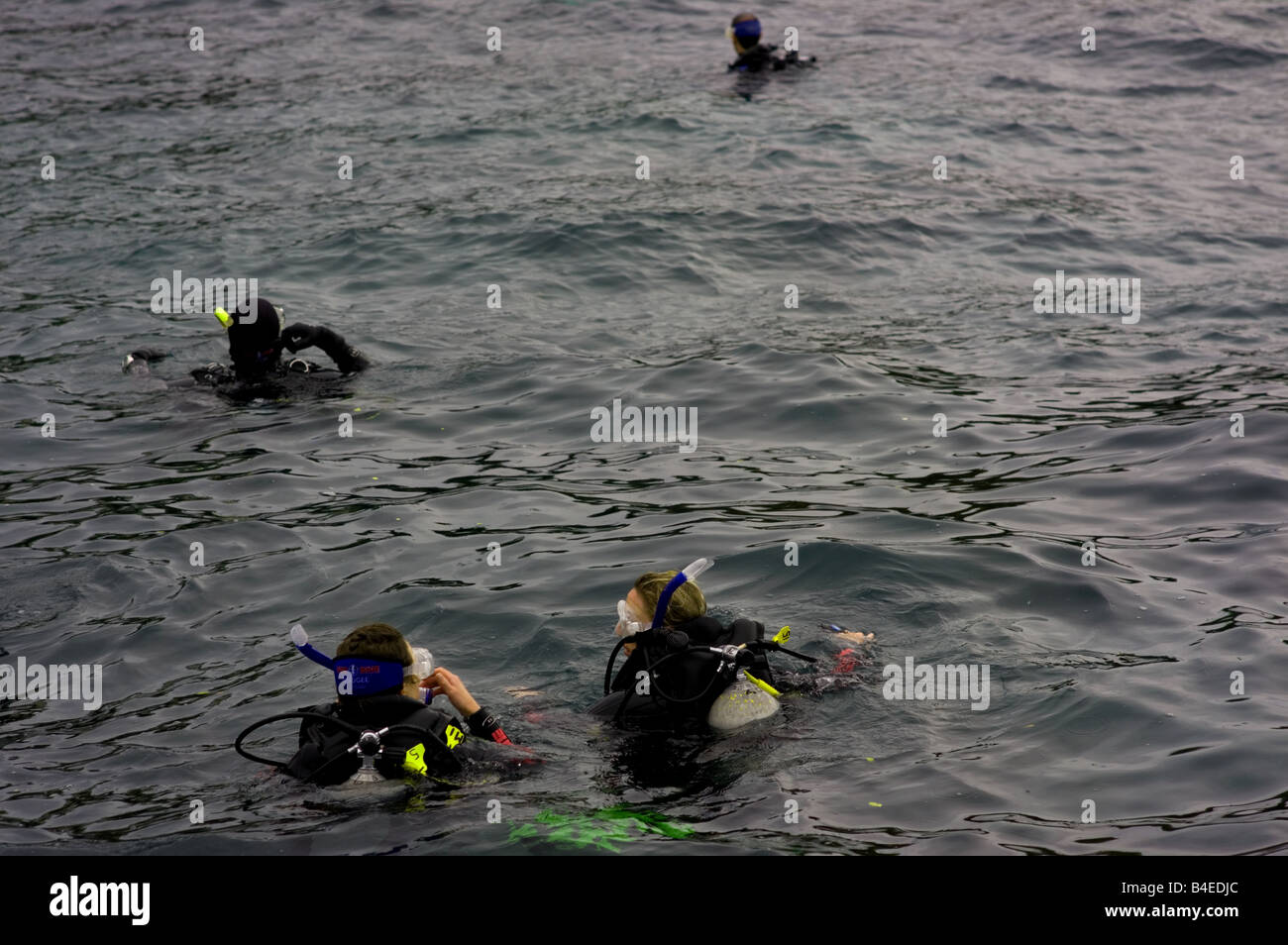 Divers check their plan Stock Photo Alamy