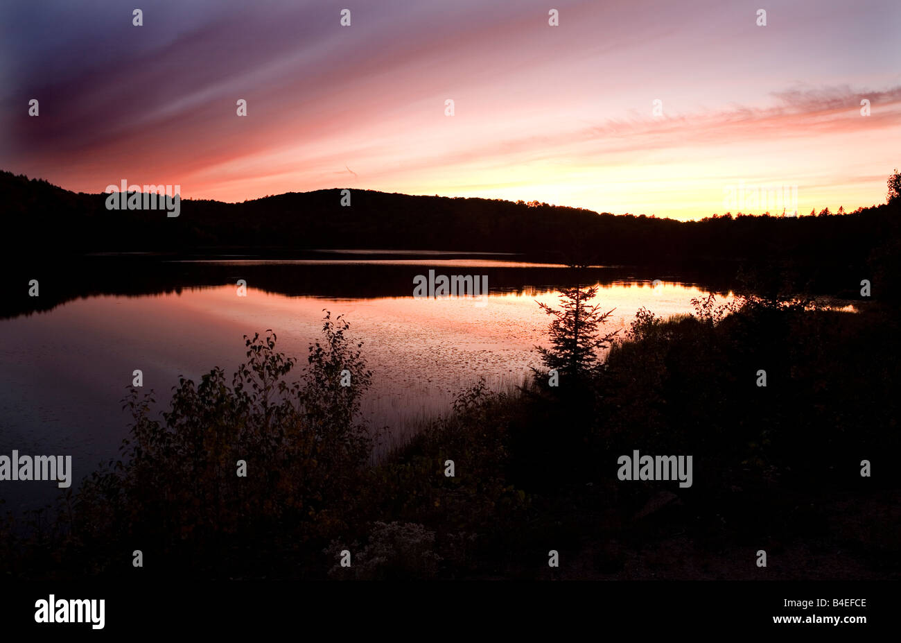 Evening, Brewer Lake, Algonquin Park in Fall,Ontario, Canada Stock Photo