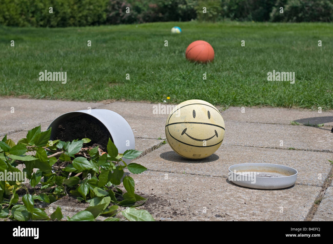 A potted plant on the paved ground spilled by a smiley ball. Stock Photo