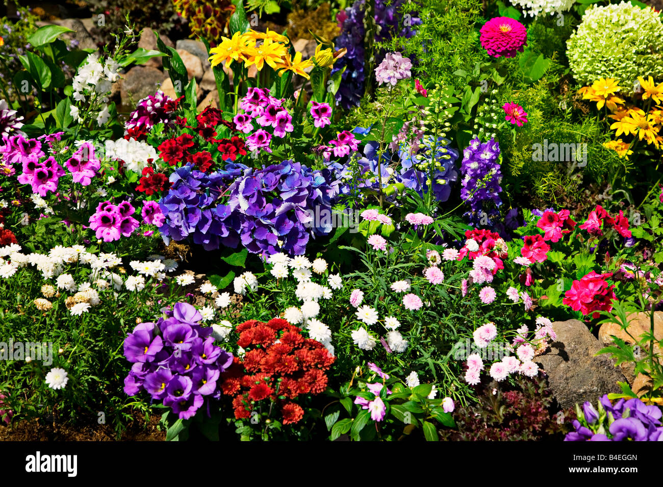 Garden flowers grow flora botanic horticulture Stock Photo