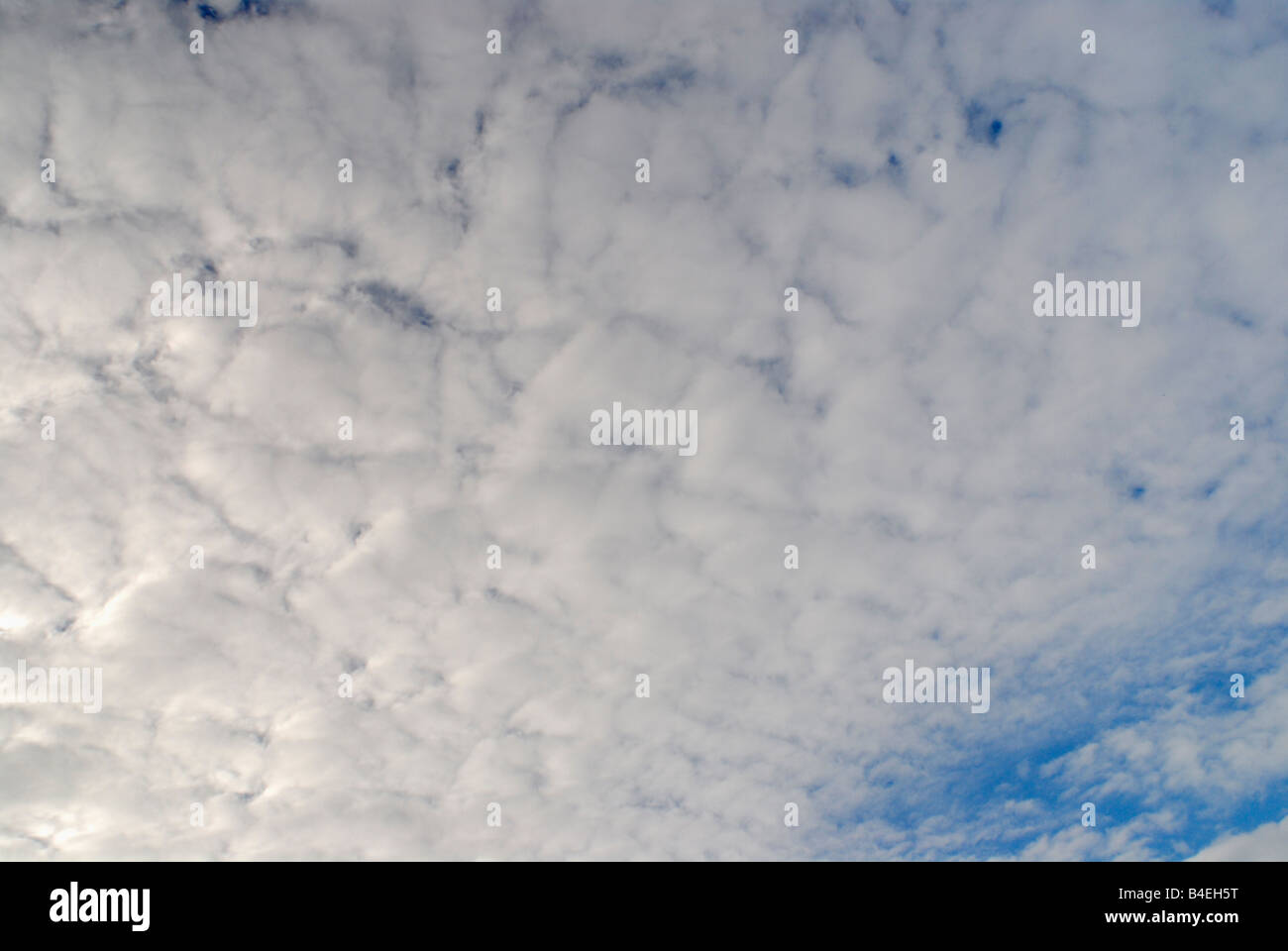 Gathering of altostratus clouds Stock Photo Alamy