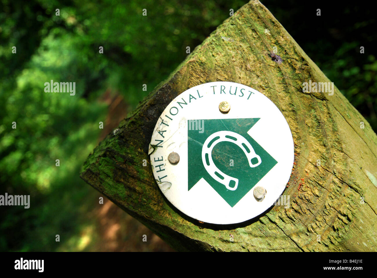 Bridleway sign in woodland at Ashclyst Forest near the National Trusts Killerton House Estate Stock Photo