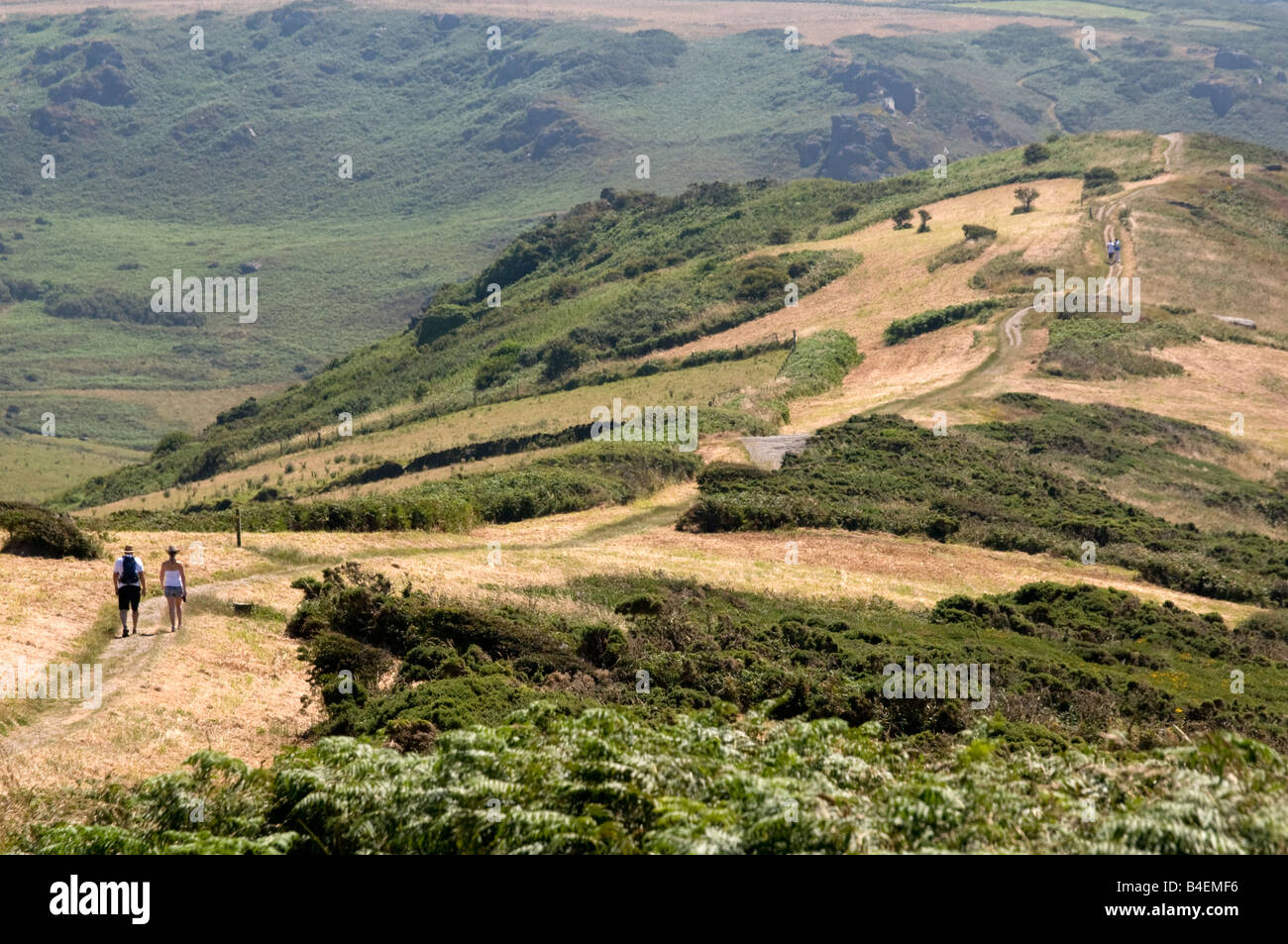 the path at bolberry down on the south west devon coast coast path the south hams devon england uk Stock Photo