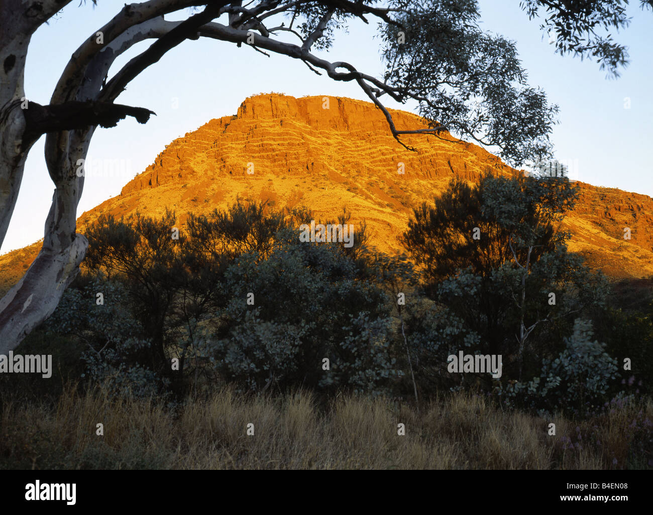 Tom Price Stock Photos & Tom Price Stock Images Alamy