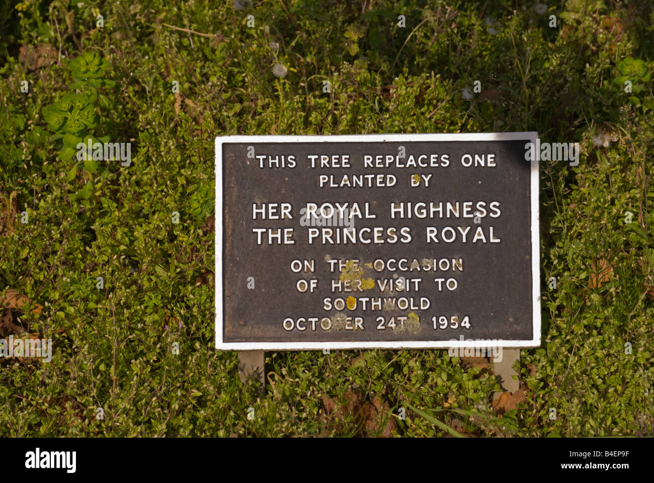 Tree planting plaque hires stock photography and images Alamy