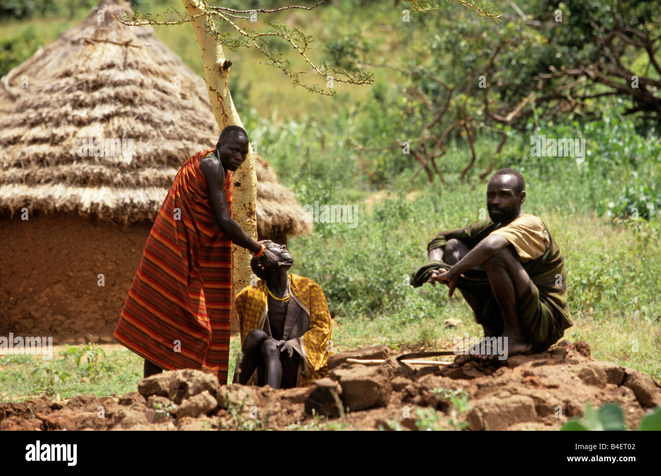 Ethnic Karamojong man getting shaved, Karamoja, Uganda Stock Photo