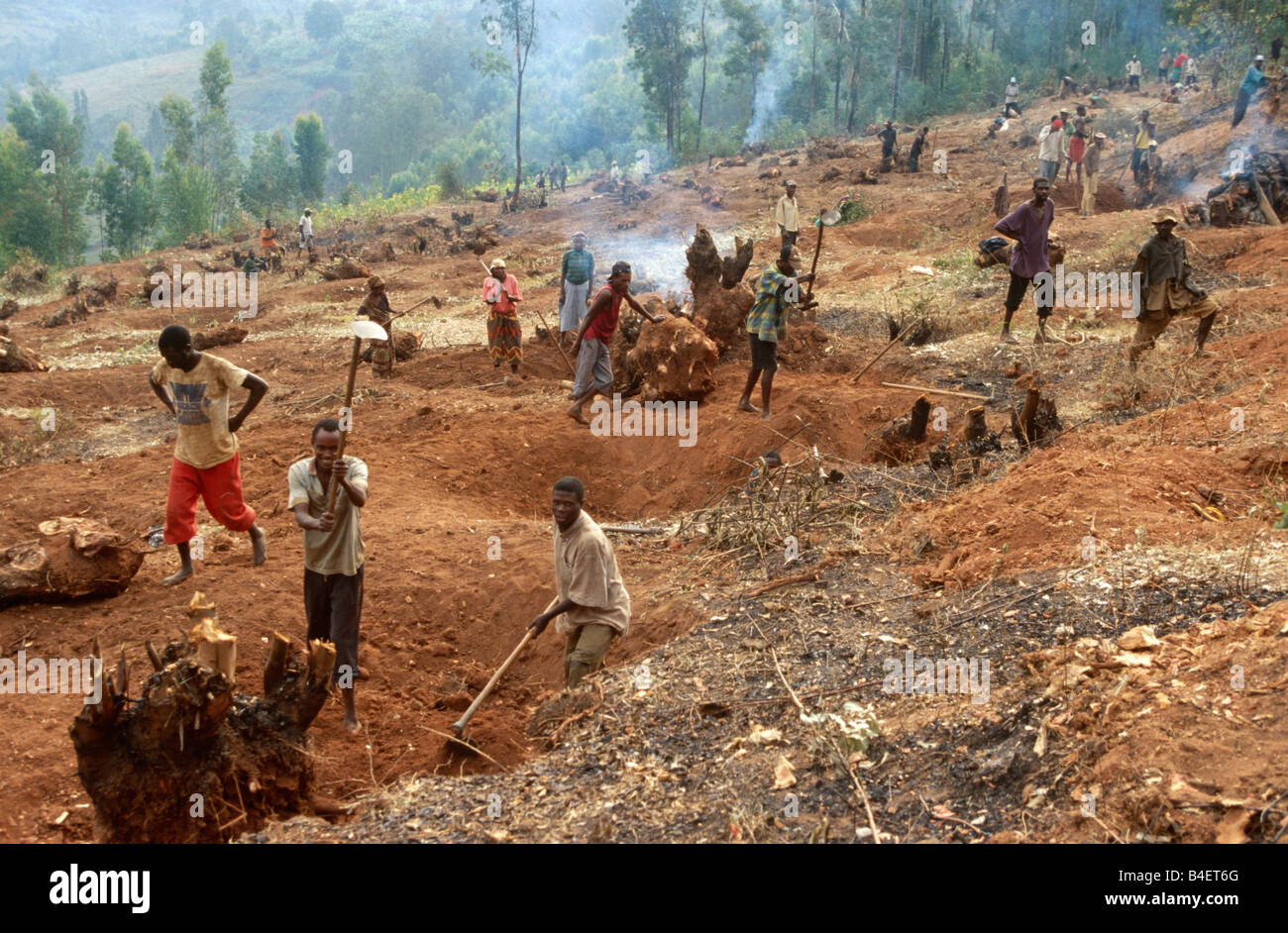 Workers preparing land for agriculture, Uganda Stock Photo