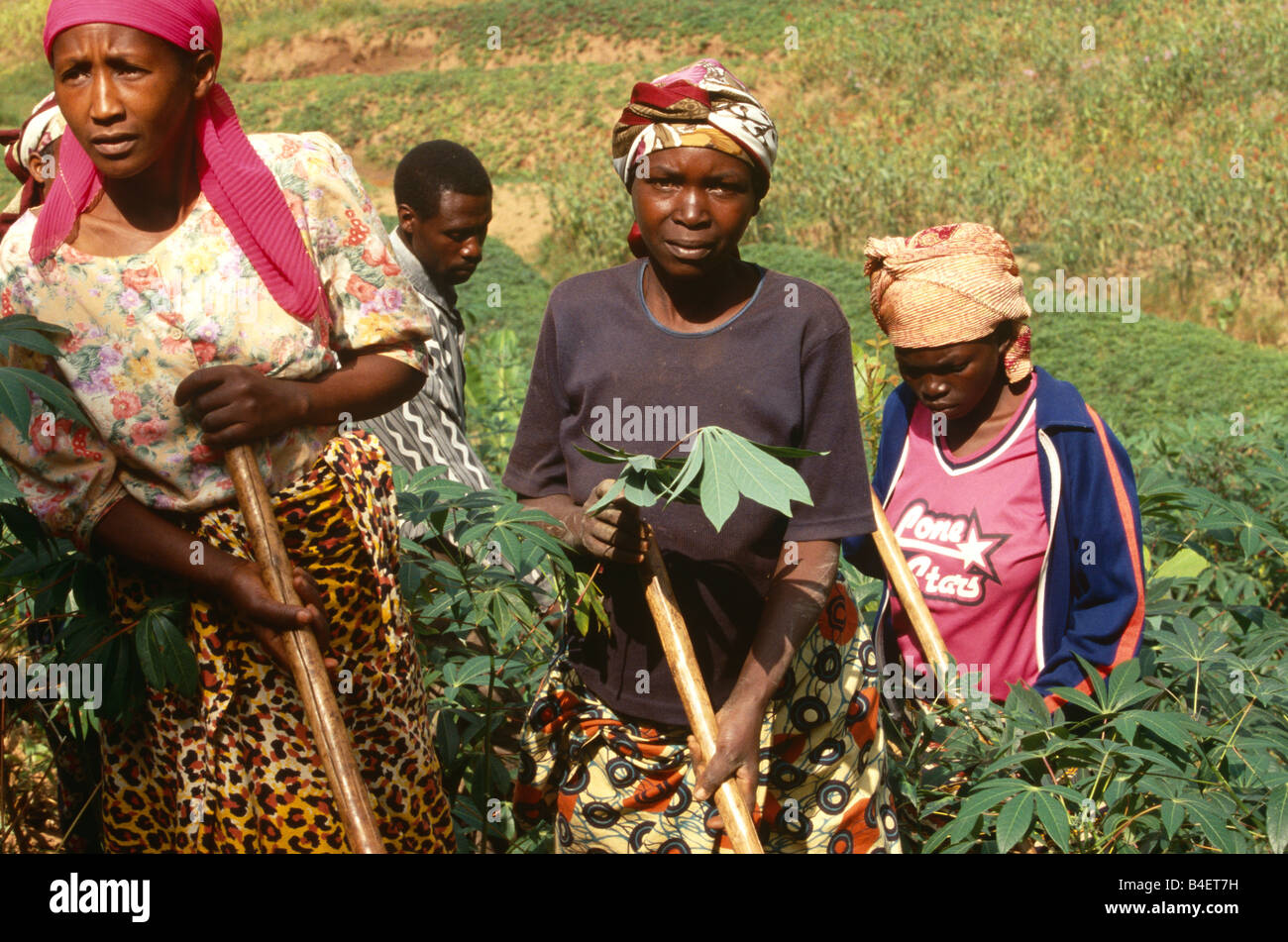 Villagers working in plantation, Uganda Stock Photo