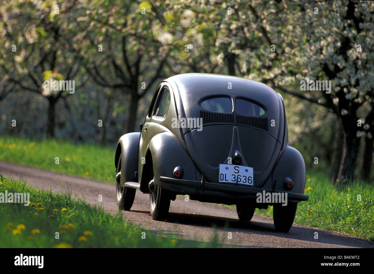 Car, VW, Volkswagen, beetle Typ 1, pretzel beetle, sedan, vintage car, model year 1949-1953, 1940s, fourties,  1950s, fifties, l Stock Photo