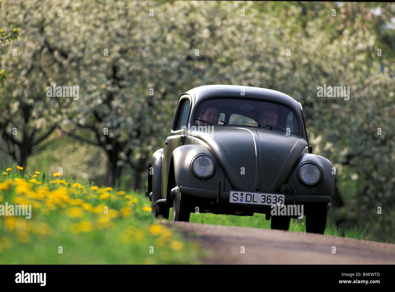 Car, VW, Volkswagen, beetle Typ 1, pretzel beetle, sedan, vintage car, model year 1949-1953, 1940s, fourties,  1950s, fifties, l Stock Photo