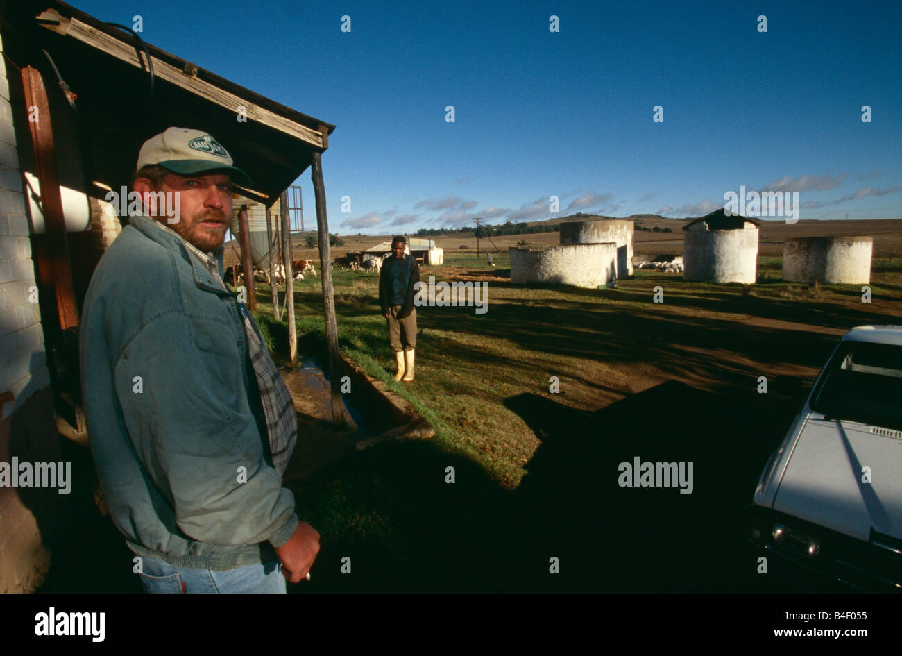 Workers at livestock farm, South Africa Stock Photo Alamy