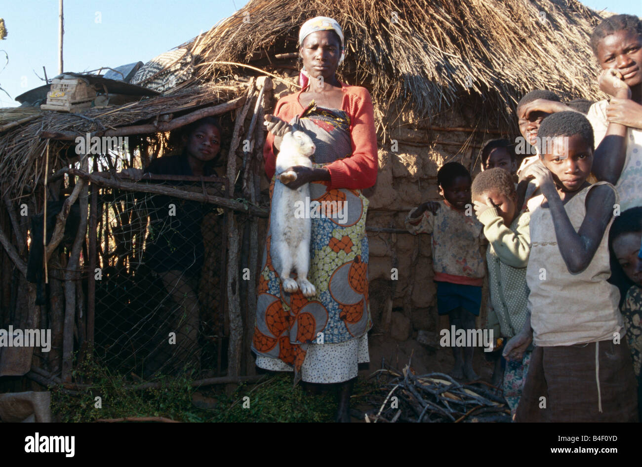 Rabbit farmer with white rabbit, surrounded by children, Angola Stock ...