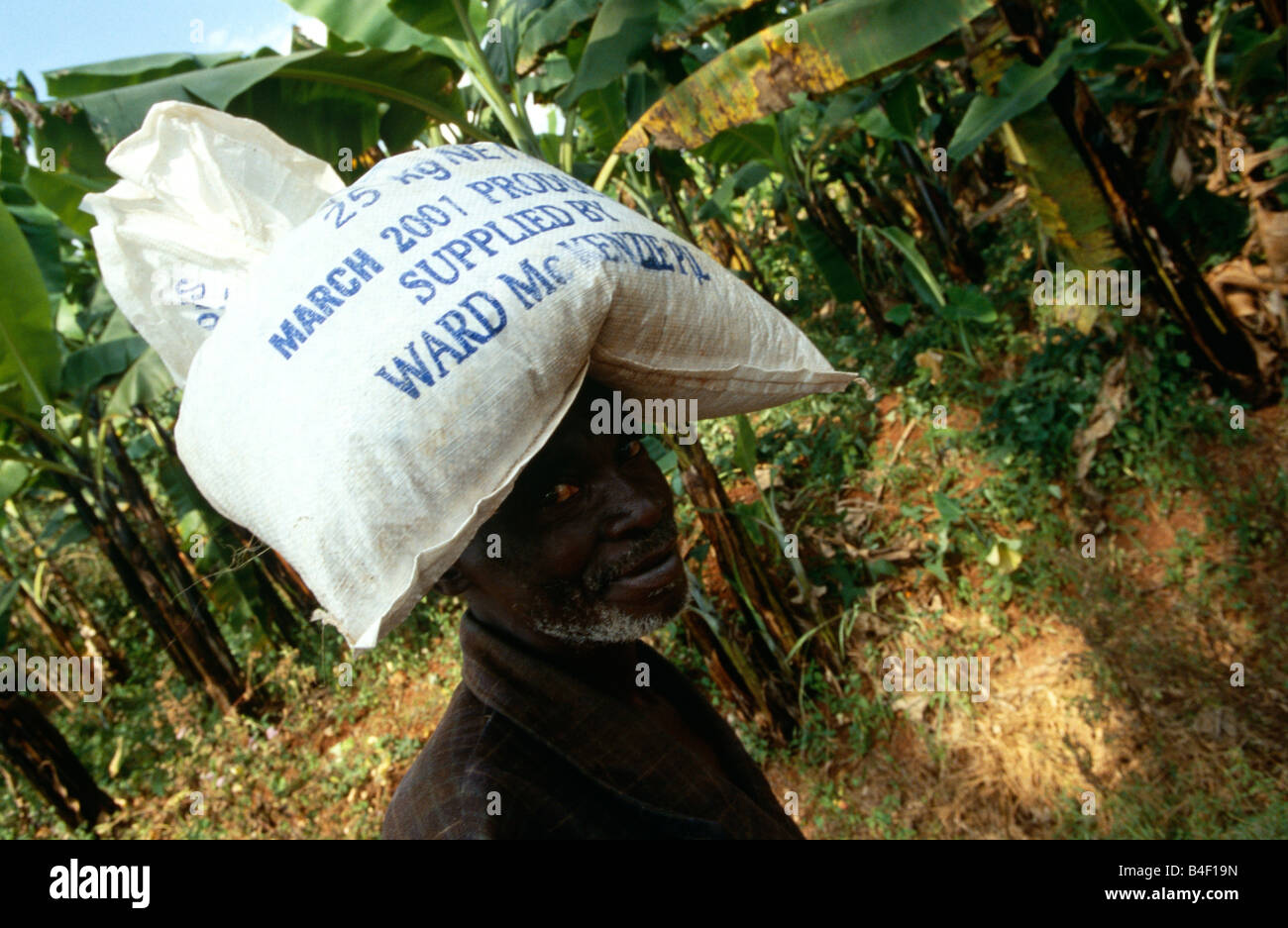 Elderly man carrying on head sack of supplies distributed by WFP,  Burundi Stock Photo