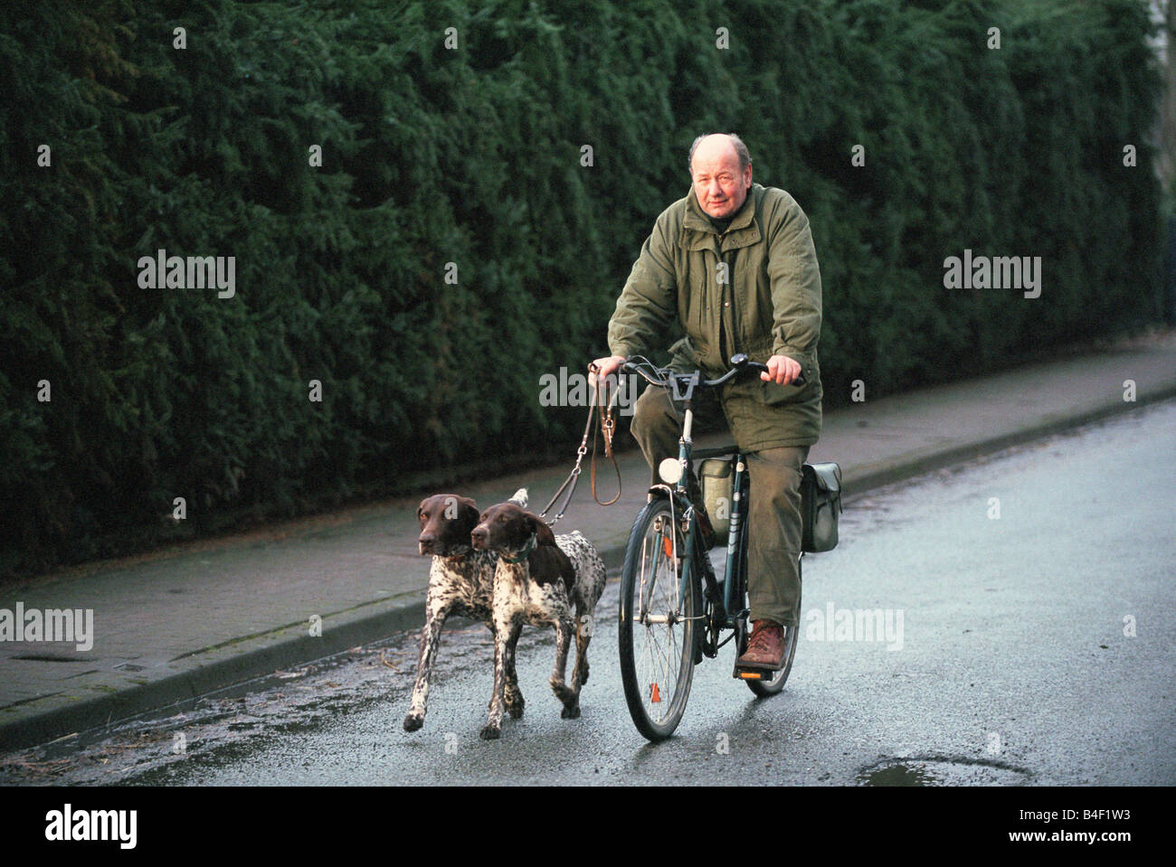 Man on a bicycle, with two dogs Stock Photo