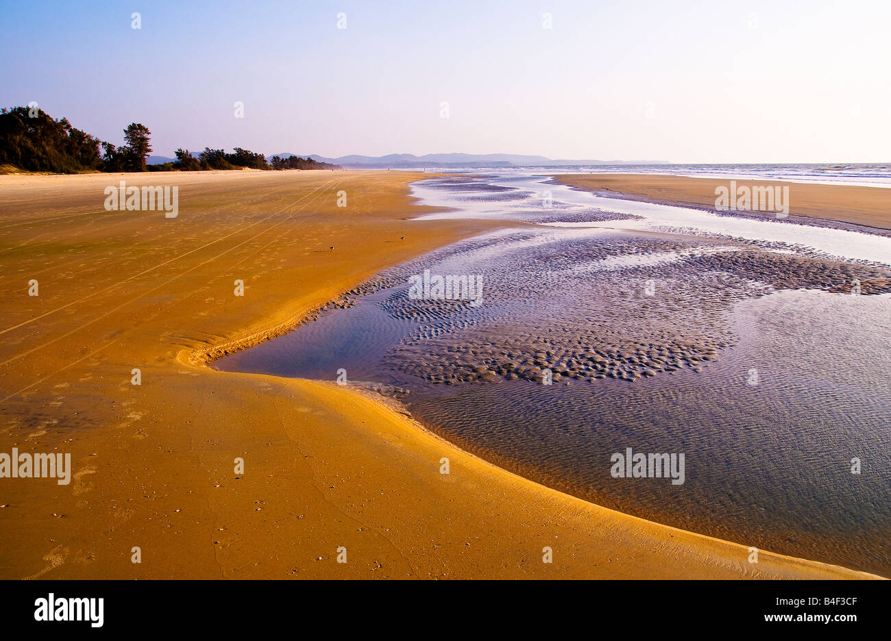 Low Tide sculpture on Cavelossim Beach Goa India Stock Photo Alamy