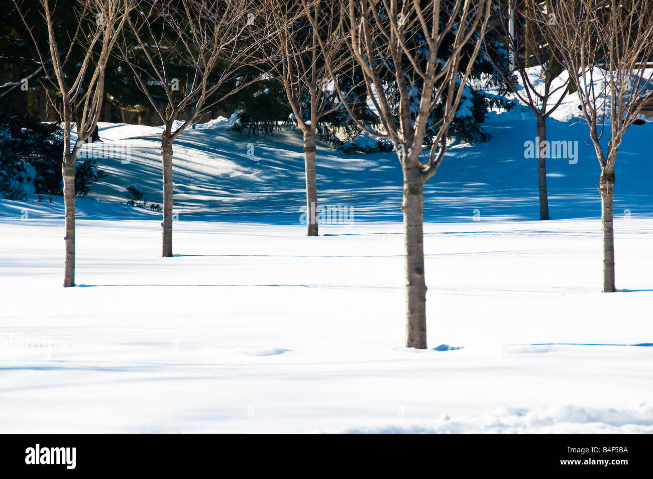A canadian winter scene at Gairloch Gardens in Oakville, Ontario,Canada Stock Photo