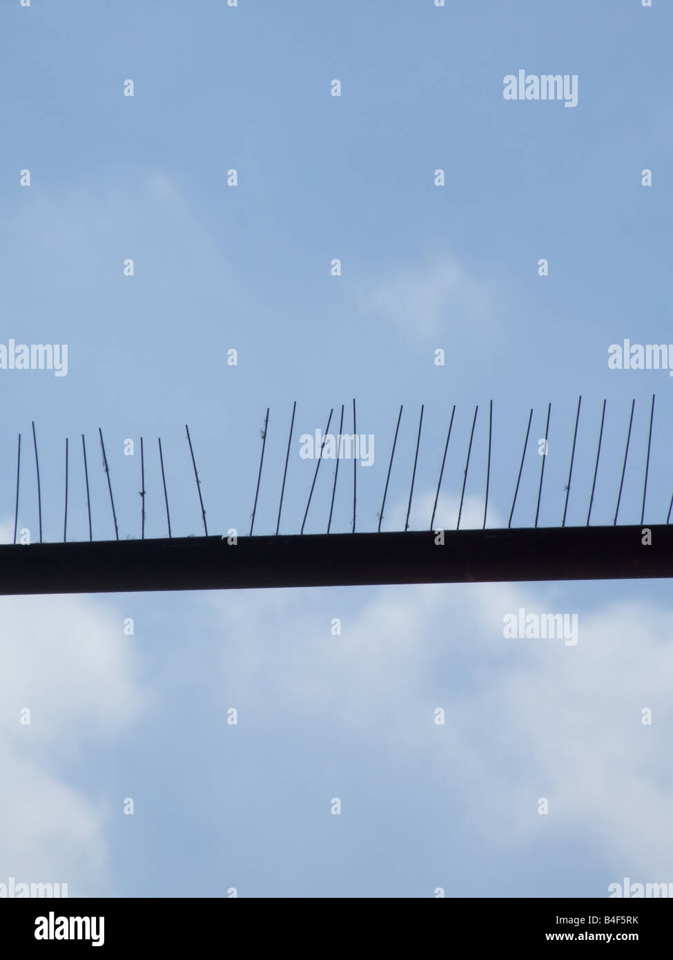pigeon deterrent spikes and blue sky outdoors Stock Photo Alamy