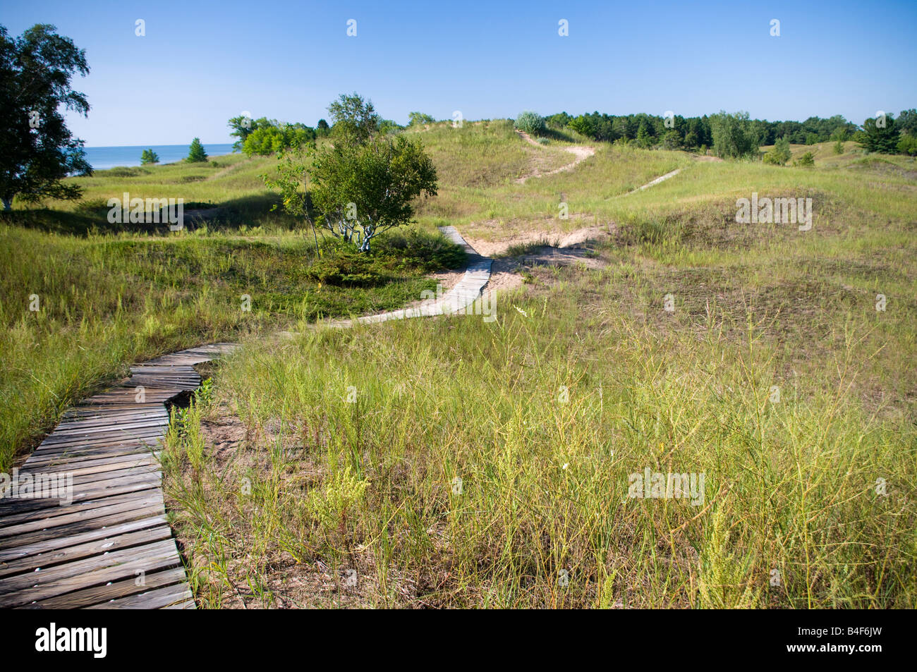 walking on the boardwalk at Kohler Andrae State Park s sand dunes Stock