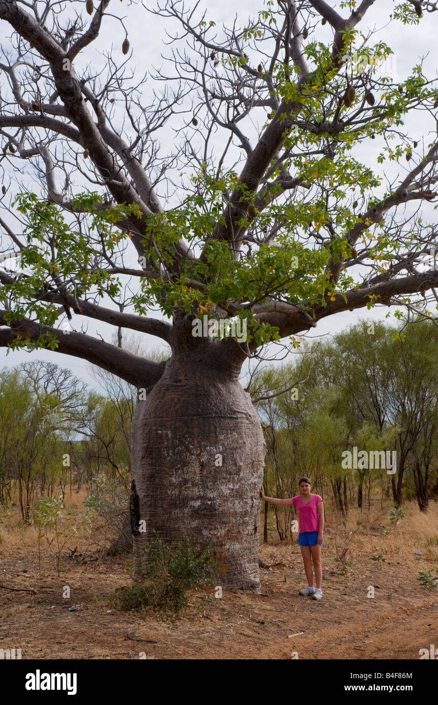 Young girl standing next to a tall boab tree in the Kimberley region of Western Australia Stock Photo
