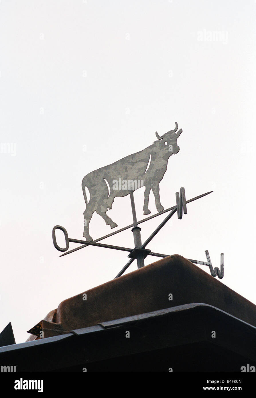 Weather vane in form of a cow Stock Photo
