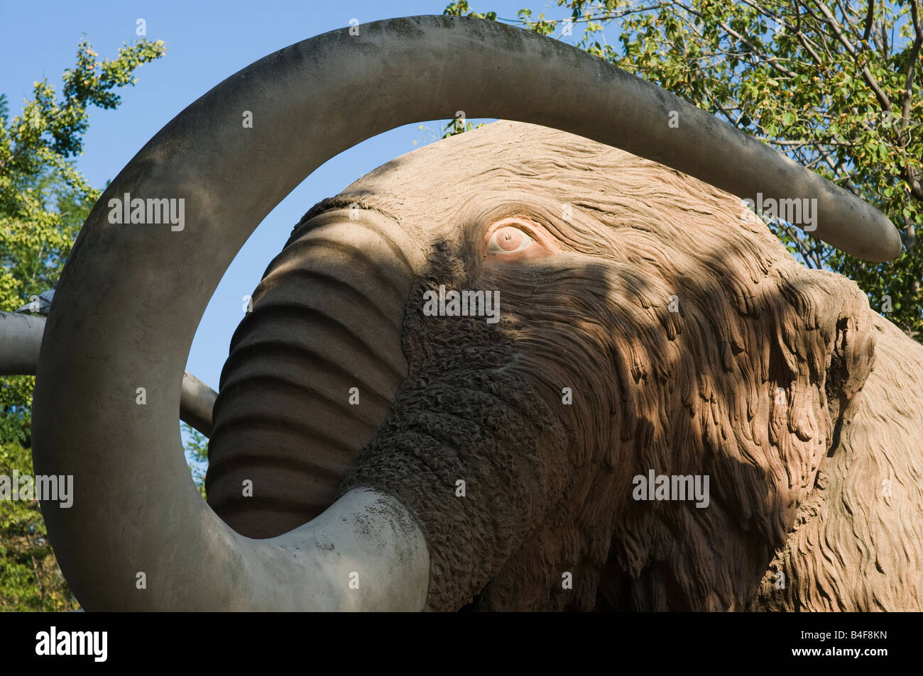 Elephant.  Ciutadella park, Barcelona, Catalonia, Spain Stock Photo