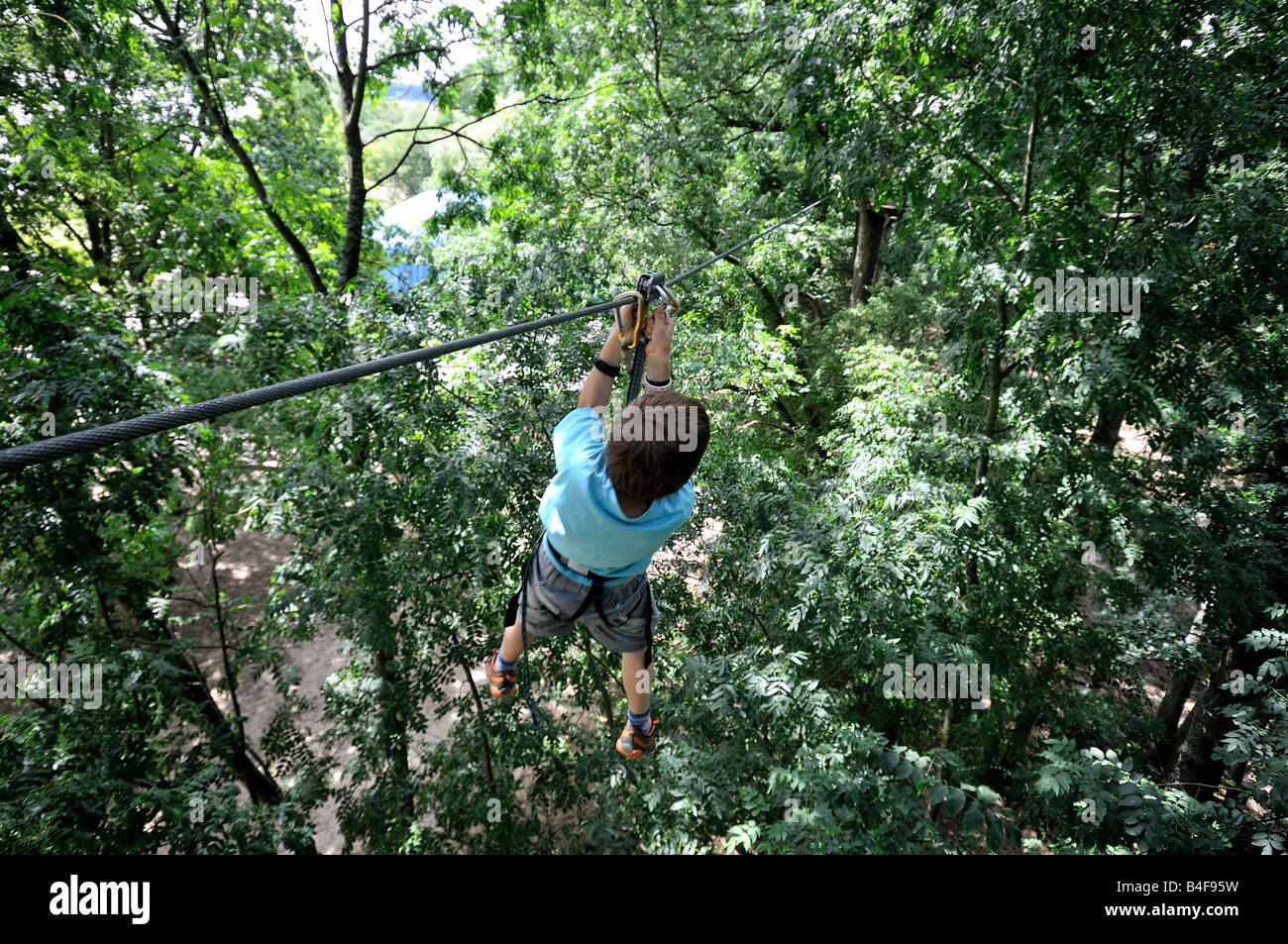 Rope climbing adventure on height trees in forest Stock Photo Alamy