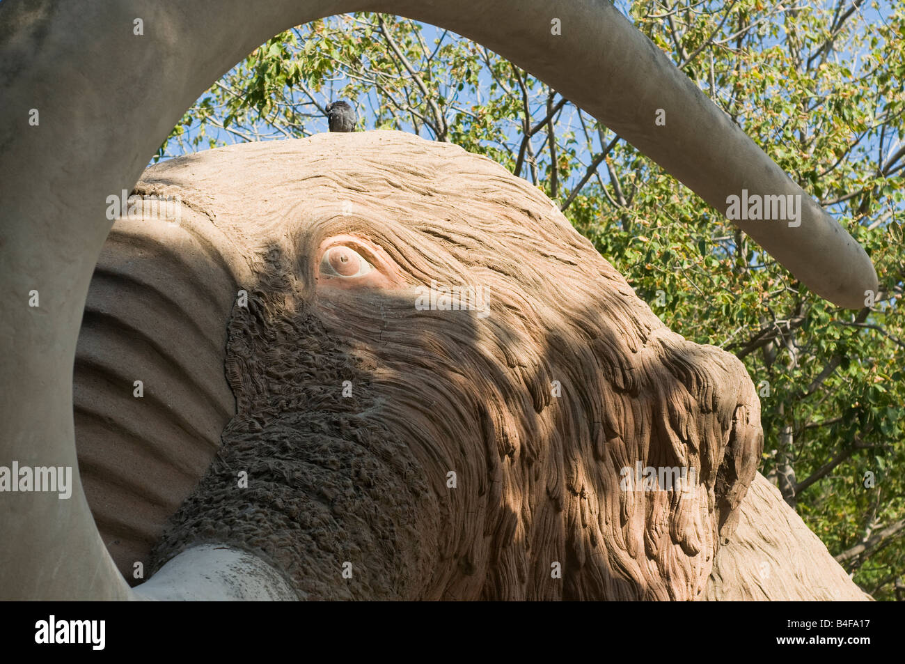 Elephant.  Ciutadella park, Barcelona, Catalonia, Spain Stock Photo