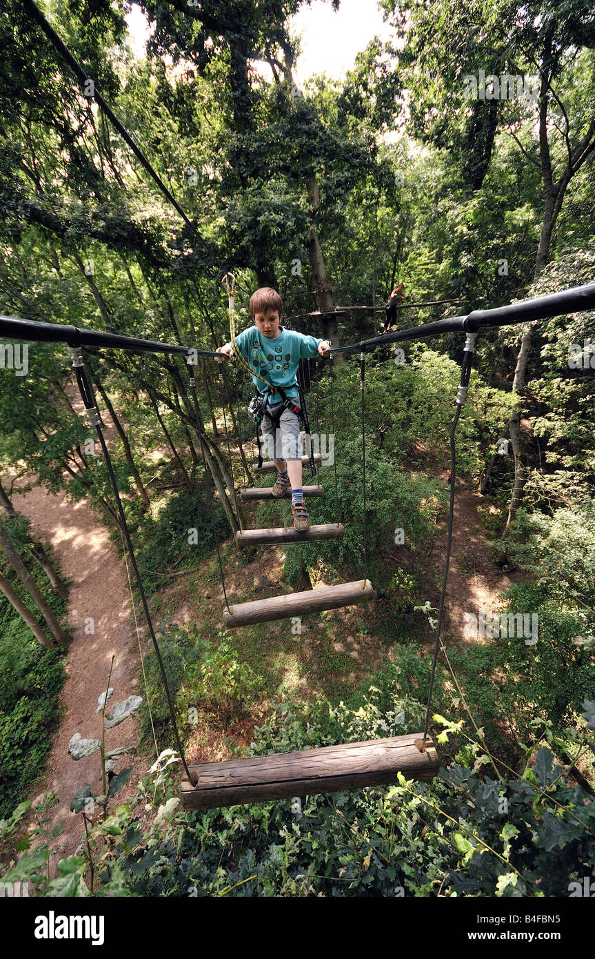 Rope climbing adventure on height trees in forest Stock Photo Alamy