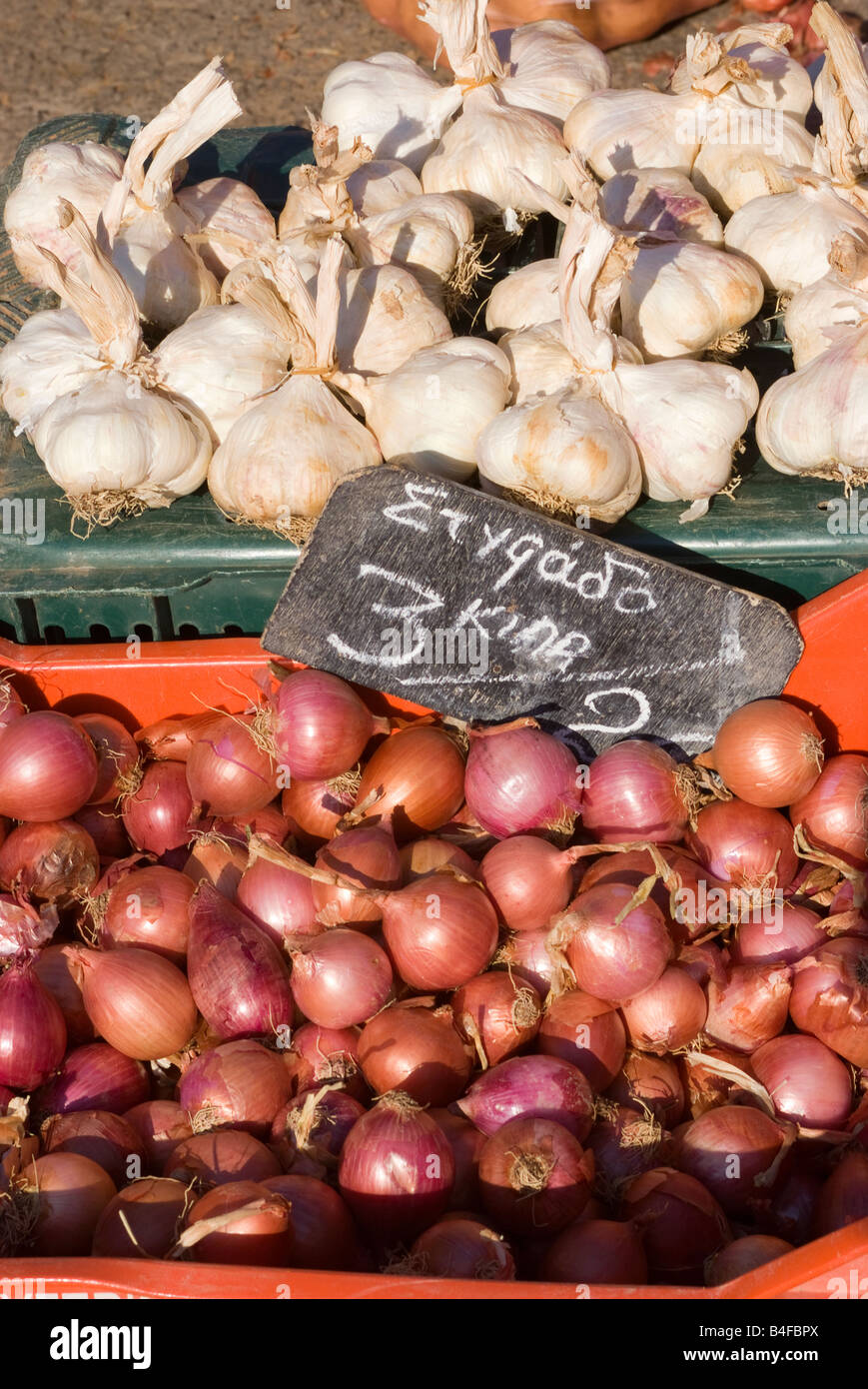 Close Up of Shallots or Red Spanish Onion Stock Image - Image of nutrition,  herb: 177447599