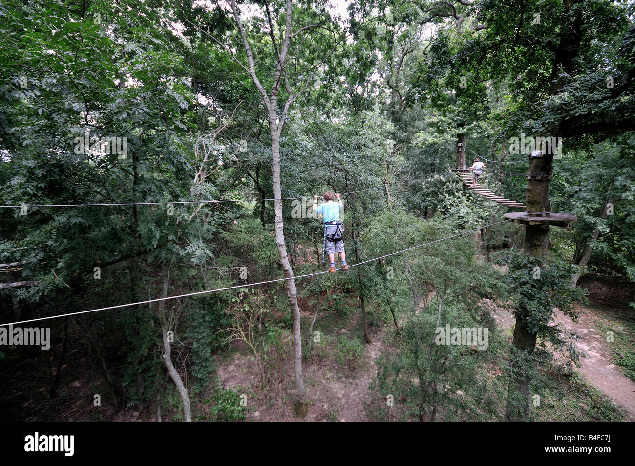 Rope climbing adventure on height trees in forest Stock Photo Alamy