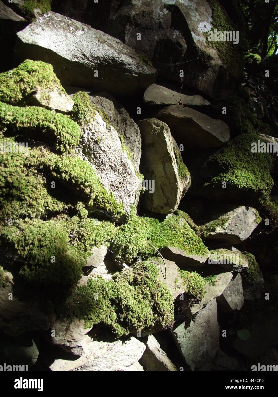 dry stone wall covered with lichen and moss Stock Photo - Alamy