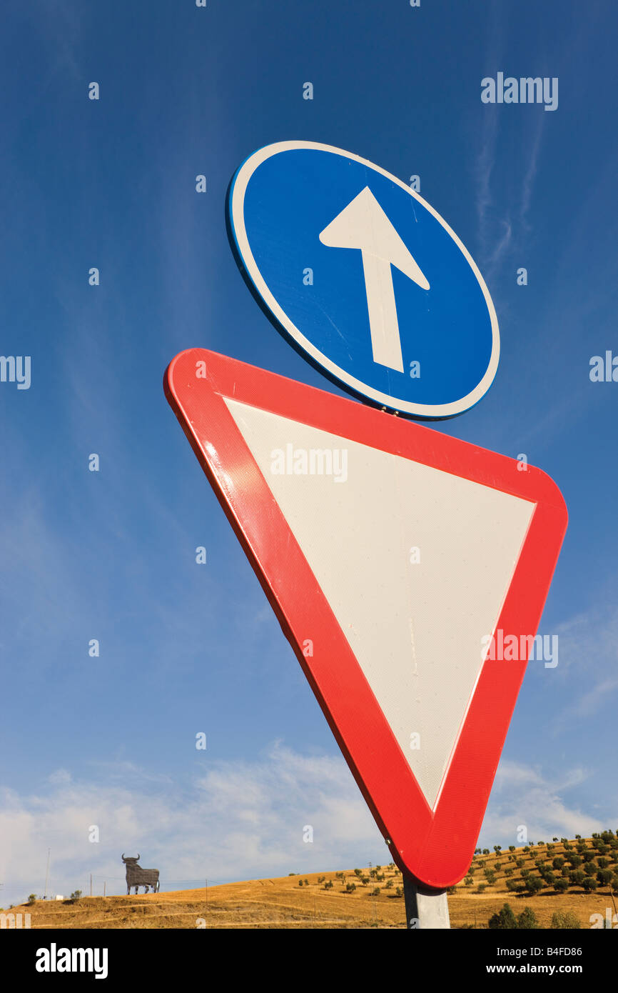 Two traffic signs Give Way and Straight Ahead with Osborne black bull in background Stock Photo