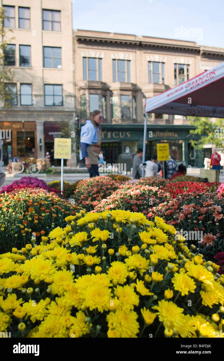 Dane county farmers??? market hires stock photography and images Alamy